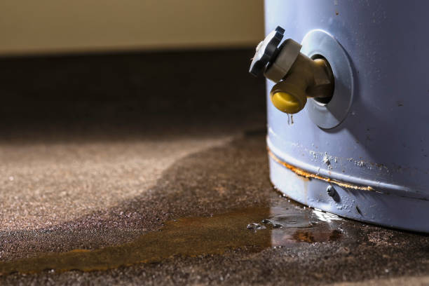 Best Commercial water damage restoration  in Hallandale Beach, FL