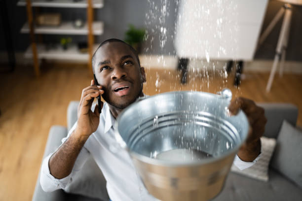 Best Sewage cleanup and water damage restoration  in Hallandale Beach, FL