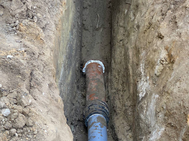 Best Professional water damage repair  in Hallandale Beach, FL