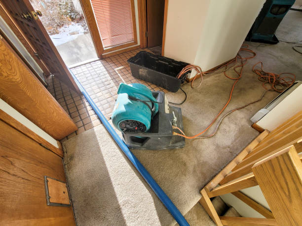 Hallandale Beach, FL Water damage restoration Company