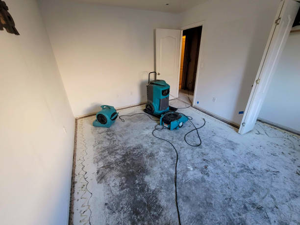 Best Ceiling water damage repair  in Hallandale Beach, FL