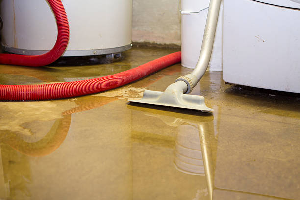 Water damage restoration mold remediation in Hallandale Beach, FL