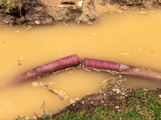 Best Water damage restoration near me  in Hallandale Beach, FL
