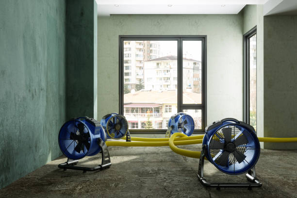  Hallandale Beach, FL Water damage restoration Pros