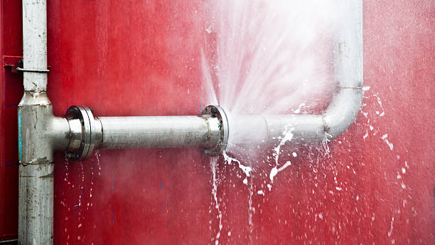 Best Basement water damage restoration  in Hallandale Beach, FL