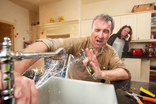 Best Fire Damage Restoration  in Hallandale Beach, FL